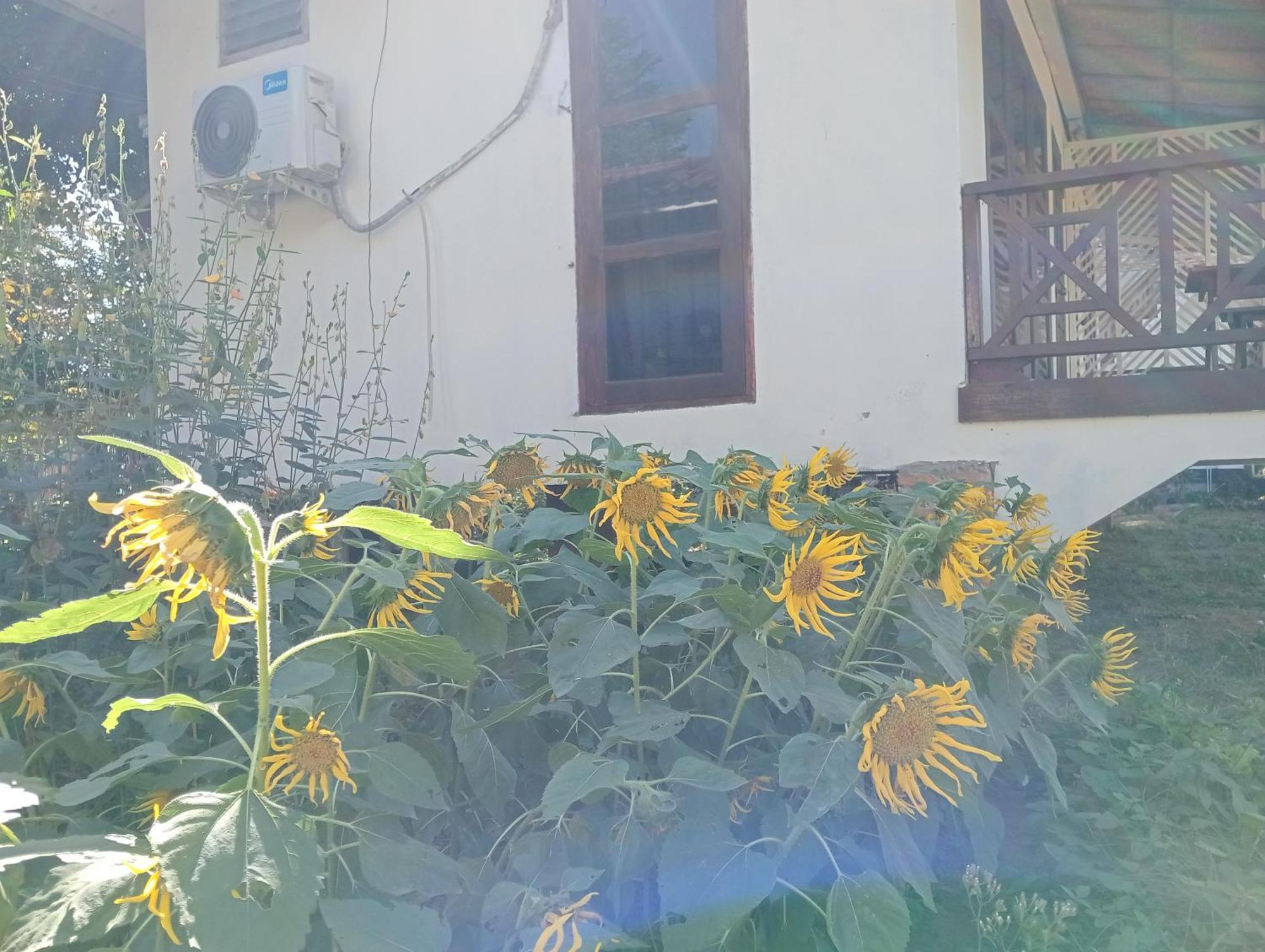 Vangvieng Ruby'Homestay Vang Vieng Exterior photo